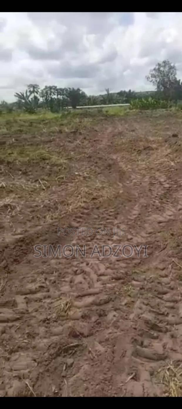 5 Acres of Farm Land for Sale · Photo 3