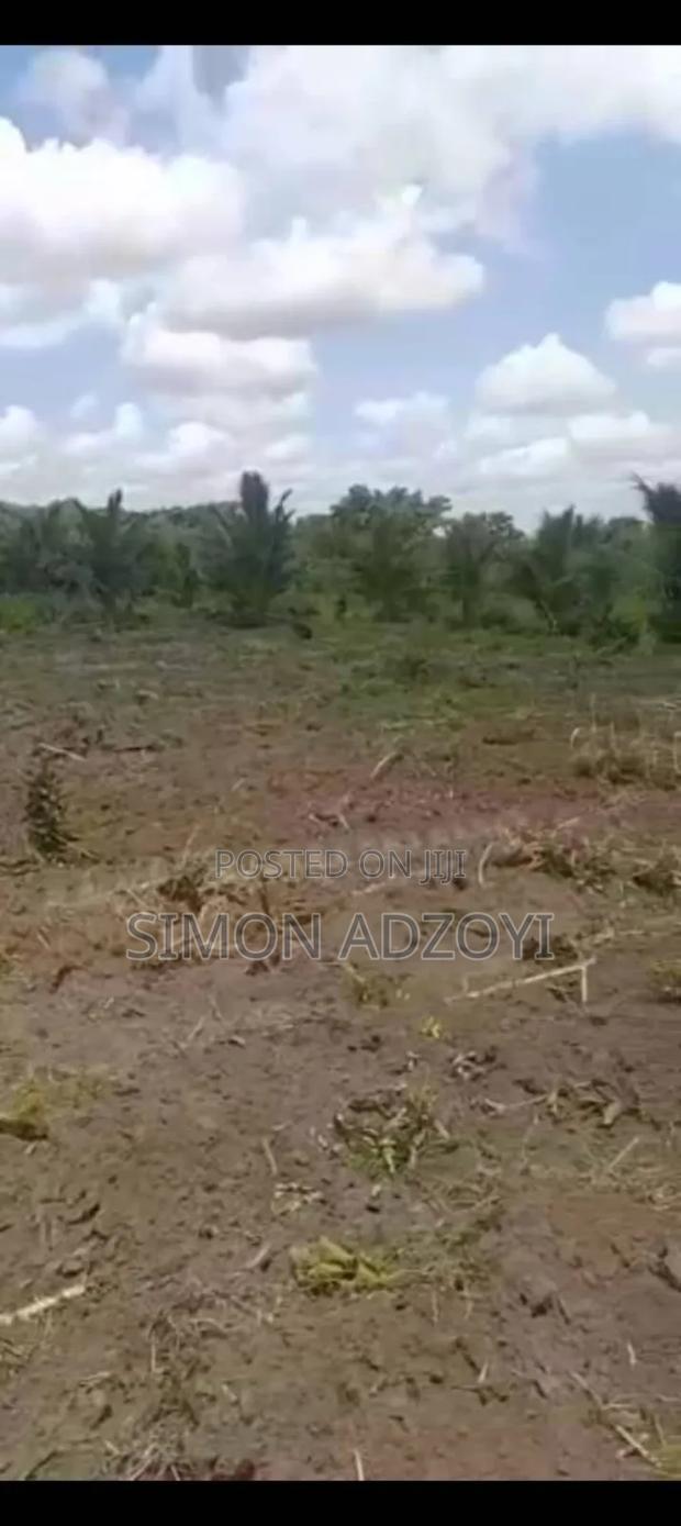 5 Acres of Farm Land for Sale · Photo 4