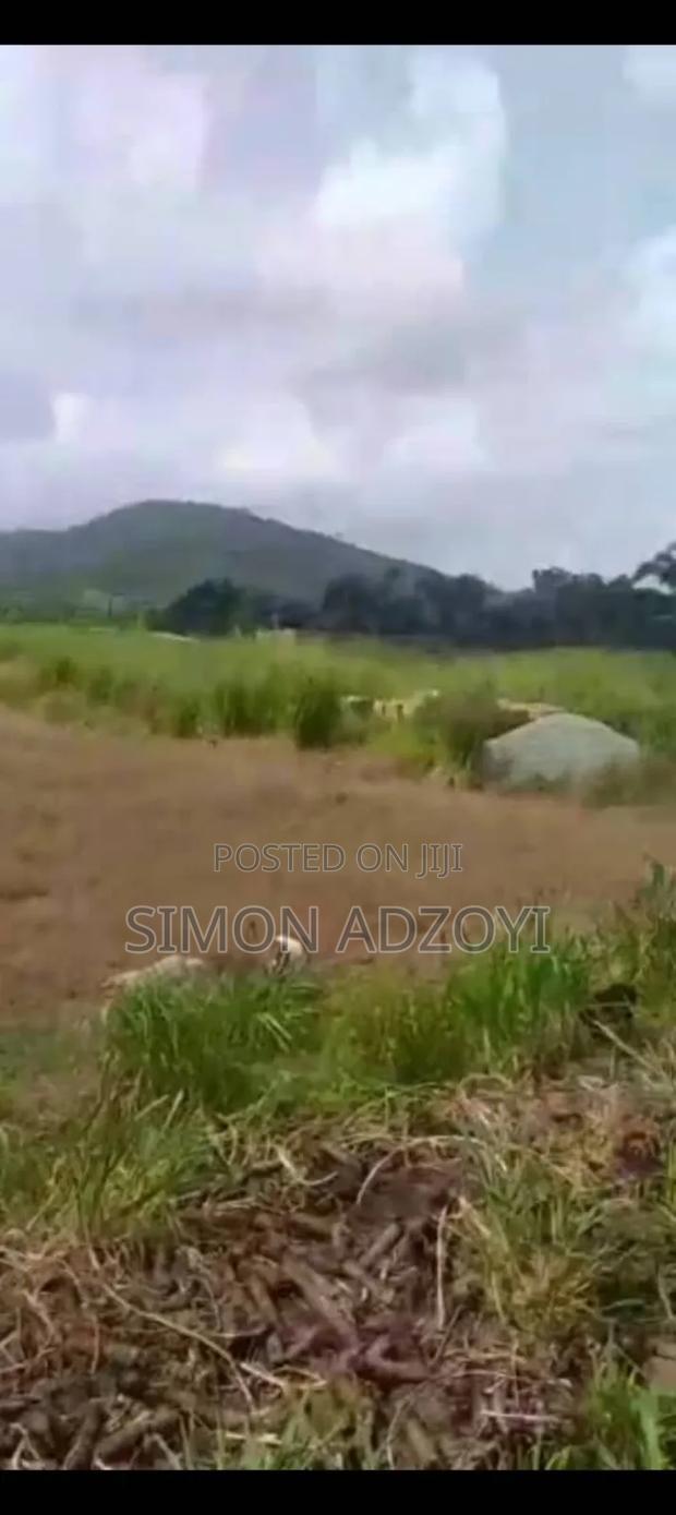 5 Acres of Farm Land for Sale · Photo 5