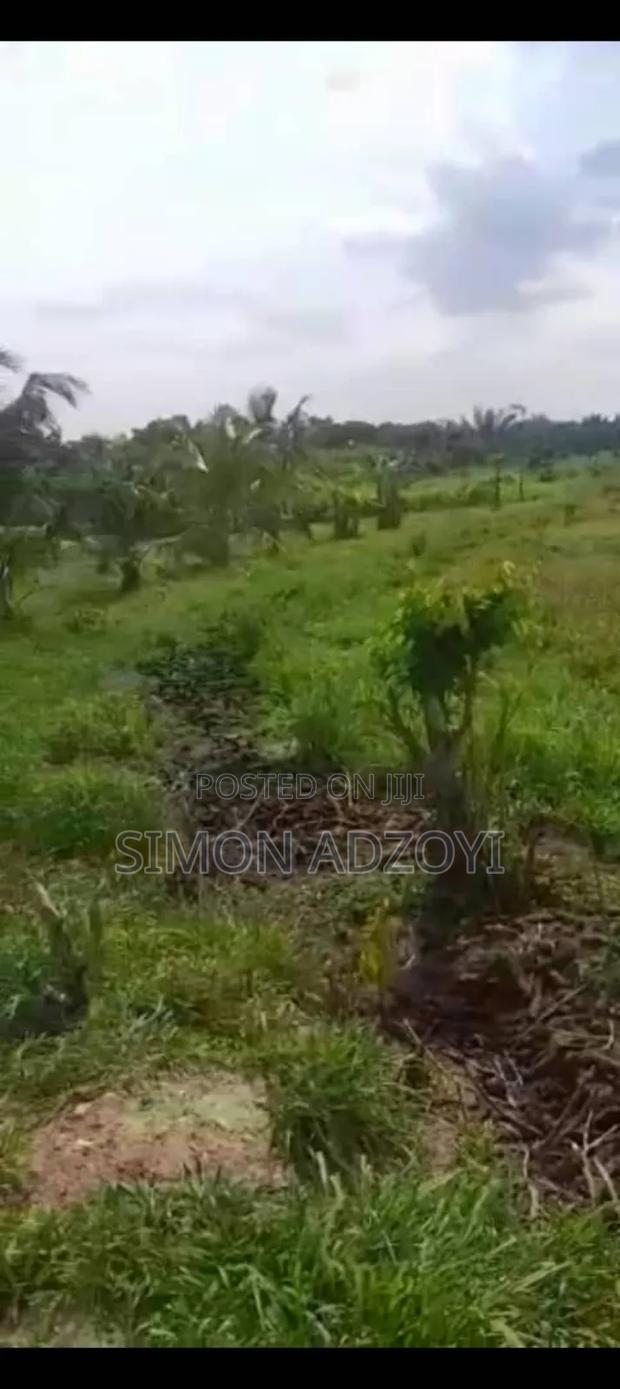 5 Acres of Farm Land for Sale · Photo 6