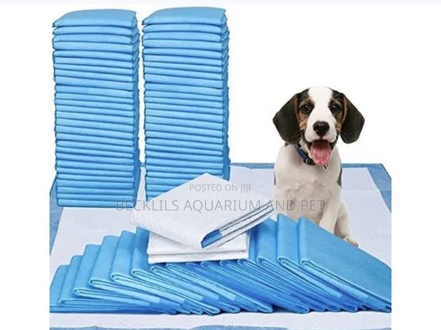 Dog Training Pee Pads · Photo 1