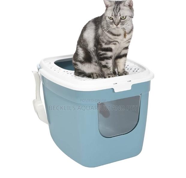 Jumbo Cat Litter Tray · Photo 1