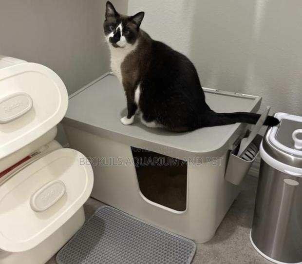 Jumbo Cat Litter Tray · Photo 3
