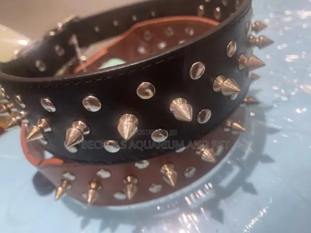 Bigger Dog Collars · Photo 1