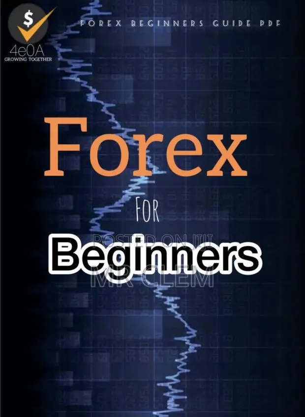 Forex Trading Book For Beginner · Photo 1