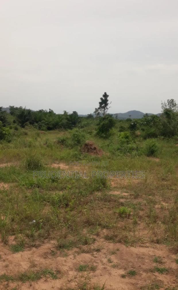 500 Acre Farmland for Sale at Adeiso · Photo 1
