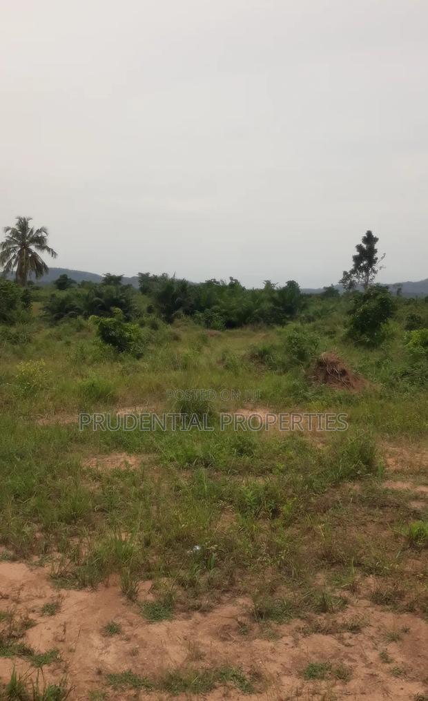 500 Acre Farmland for Sale at Adeiso · Photo 2