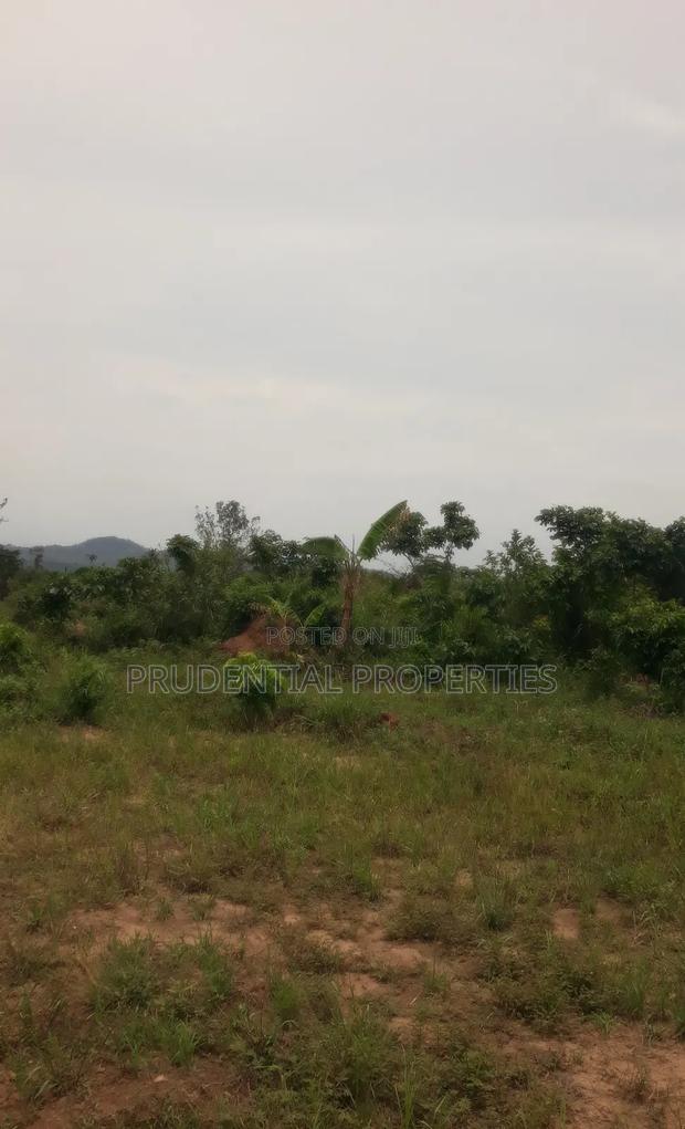 500 Acre Farmland for Sale at Adeiso · Photo 5