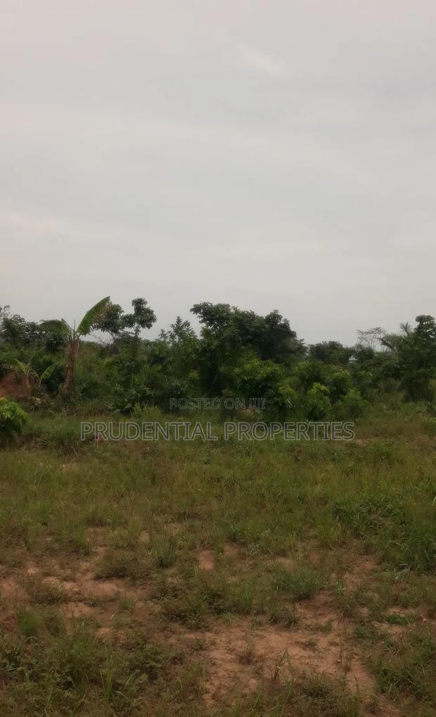 500 Acre Farmland for Sale at Adeiso · Photo 7