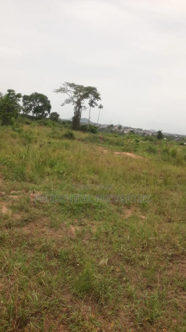 500 Acre Farmland for Sale at Adeiso · Photo 8
