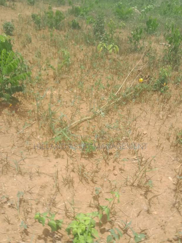 Plot of Land Forsale at Adietem-Mpatado · Photo 1