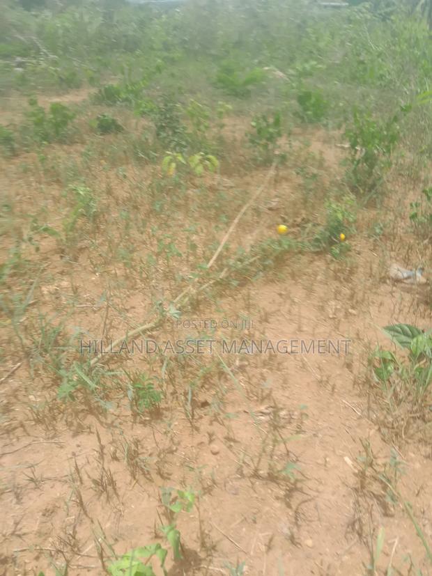 Plot of Land Forsale at Adietem-Mpatado · Photo 2