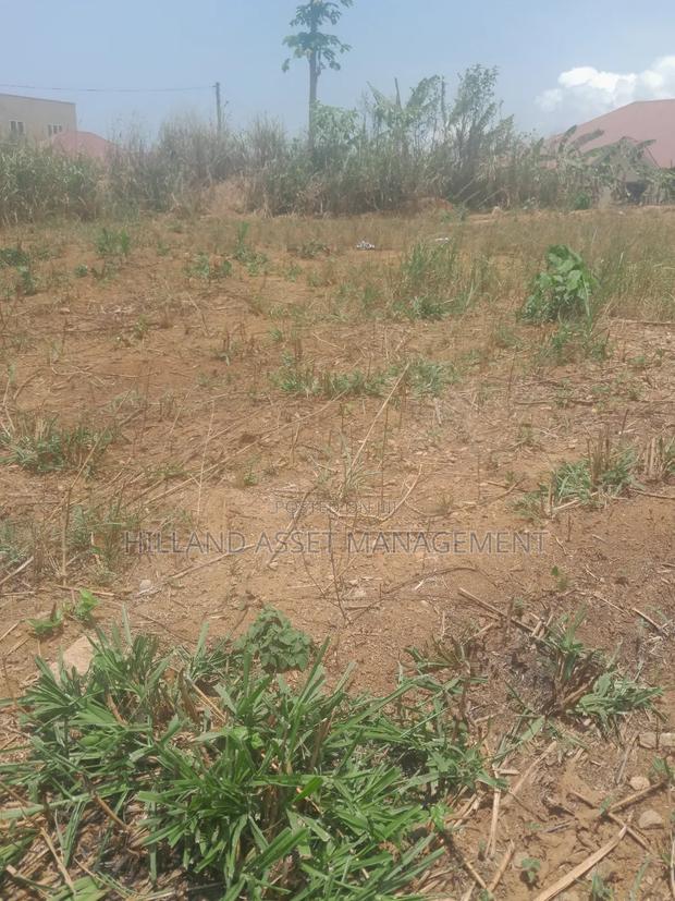 Plot of Land Forsale at Adietem-Mpatado · Photo 4