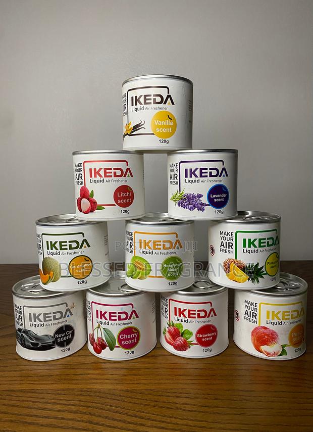 Ikeda Air Freshener · Photo 1