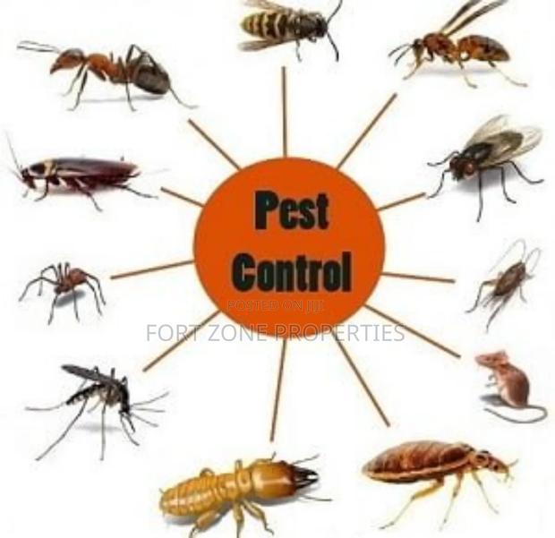 Legon Hills Fumigation Service,Accra · Photo 3