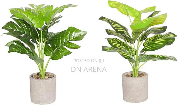Artificial Croton Plant Ornamental Plant, · Photo 3