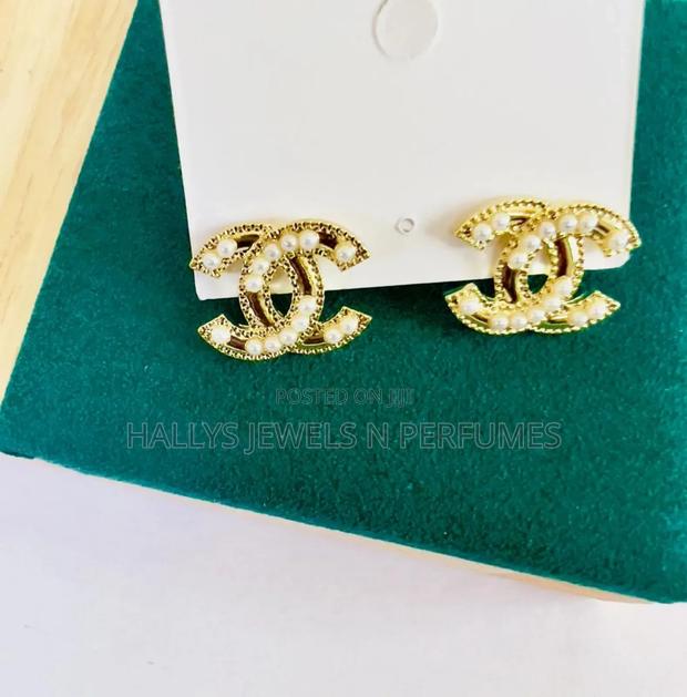 Luxury Brands Earrings · Photo 1
