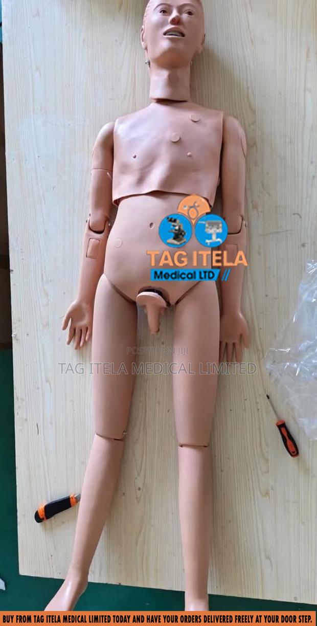 Anatomy Dummy (Full Body Unisex) · Photo 1
