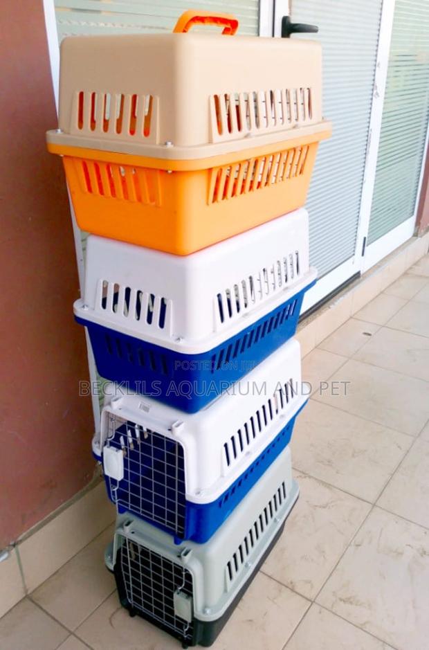 Quality Spacious Plastic Cages for Dogs , Cats , Rabbits · Photo 1