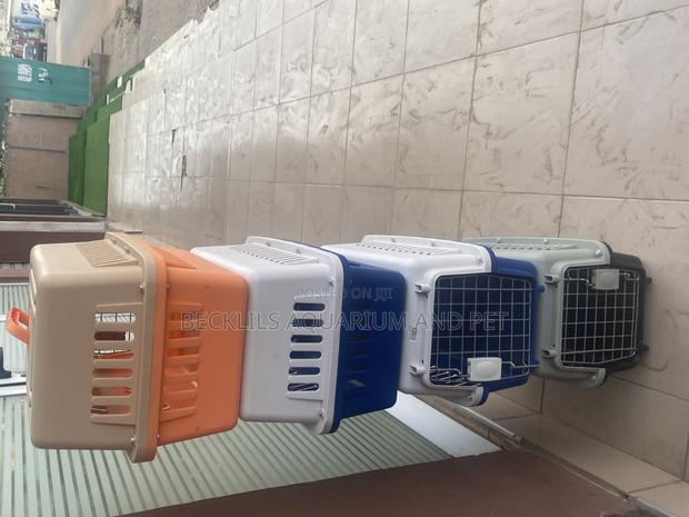 Quality Spacious Plastic Cages for Dogs , Cats , Rabbits · Photo 5