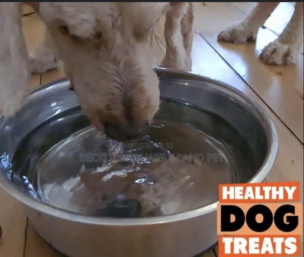Dog Stainless Steel Water Bowl · Photo 1