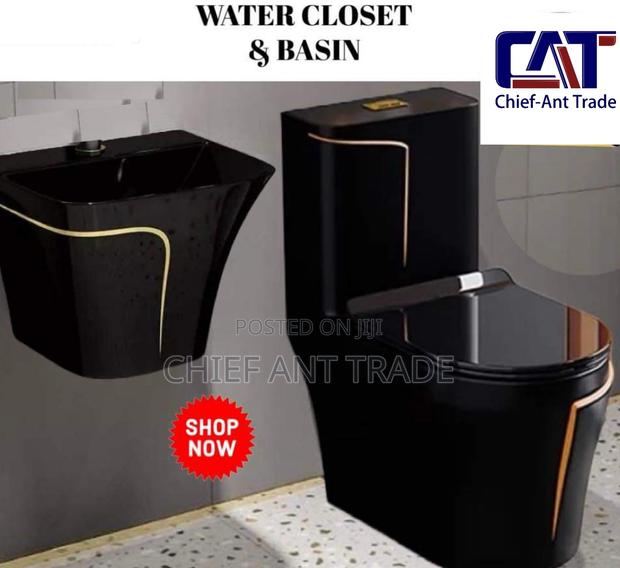 Toilet Seat Wc With Basin Black and Gold W652s + HGB-1 · Photo 1