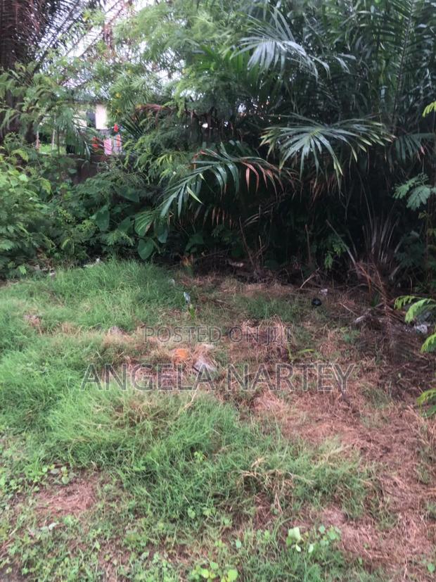 Titled Two and Half Plot at Sakumono Estates · Photo 4