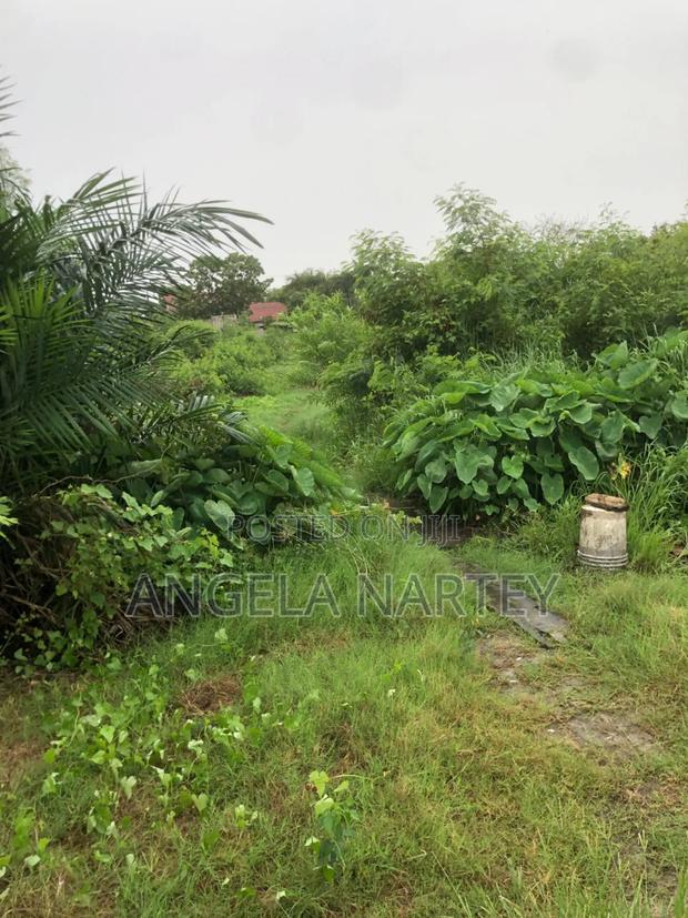 Titled Two and Half Plot at Sakumono Estates · Photo 7
