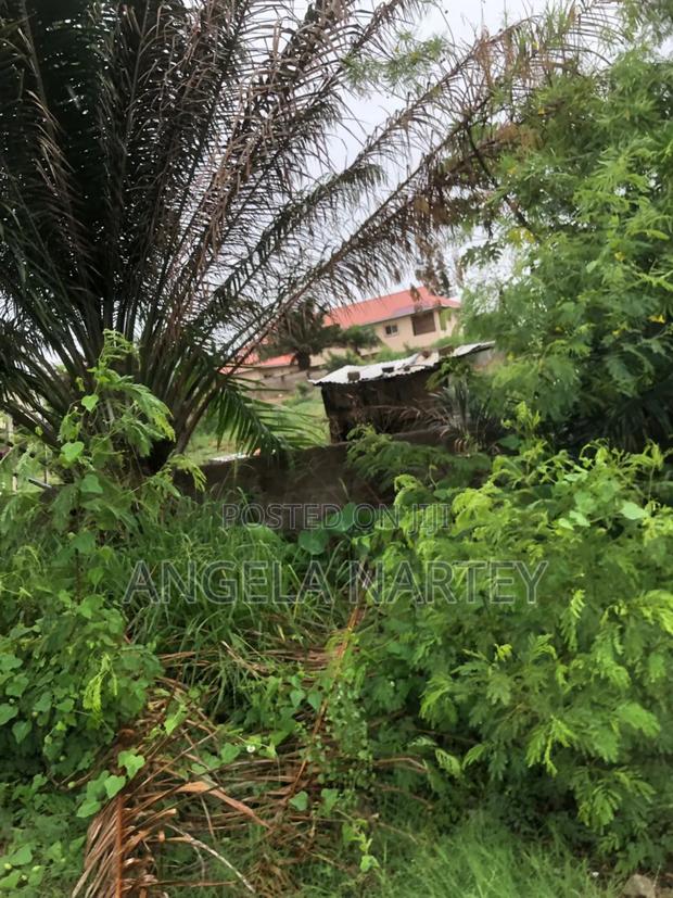 Titled Two and Half Plot at Sakumono Estates · Photo 8