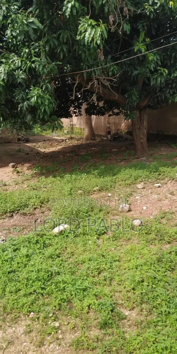 Quarter Plot of Land for Sale at Amasaman Fise · Photo 1