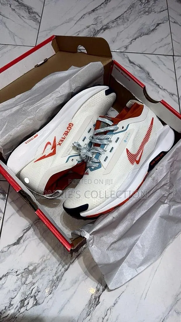 Nike Pegasus Trail 5 GORE-TEX · Photo 1