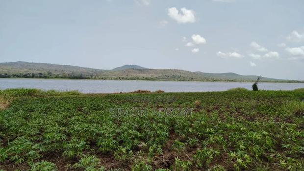50 Acres River Front Land for Rent · Photo 3