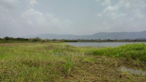 50 Acres River Front Land for Rent · Photo 1