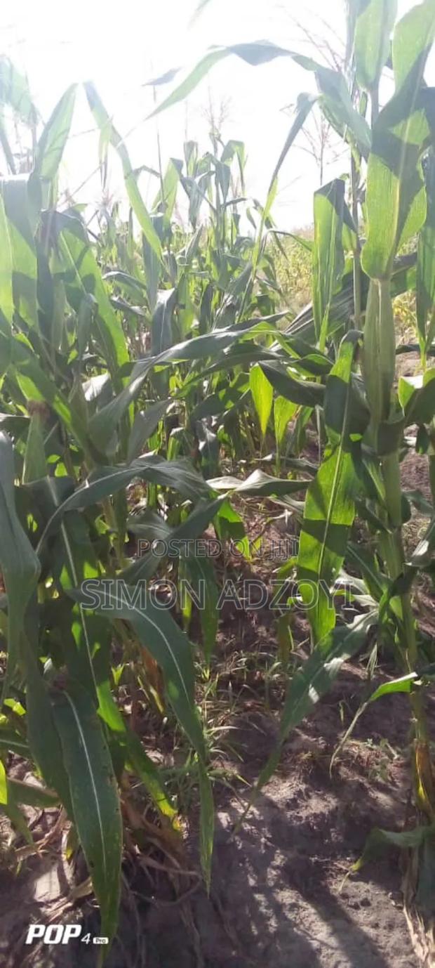 50,000 Acres of Farm Land for Sale · Photo 2