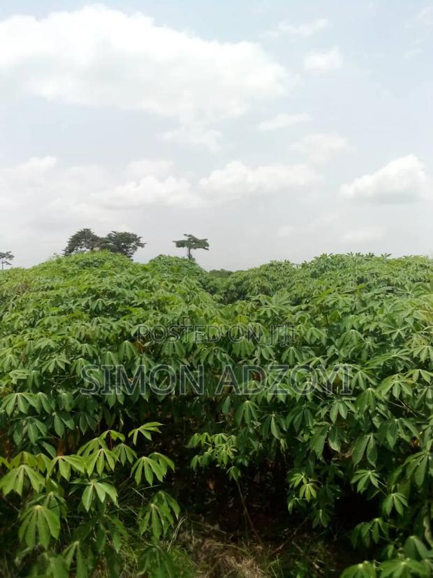 50,000 Acres of Farm Land for Sale · Photo 3