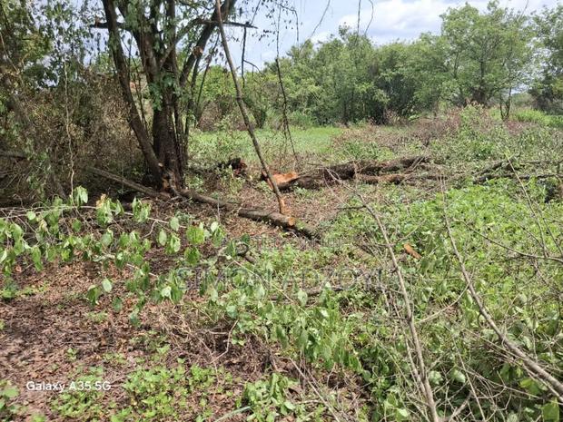 50,000 Acres of Farm Land for Sale · Photo 1