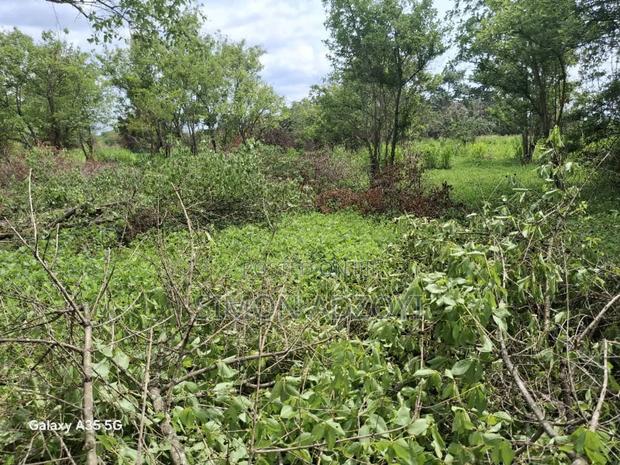 50,000 Acres of Farm Land for Sale · Photo 4