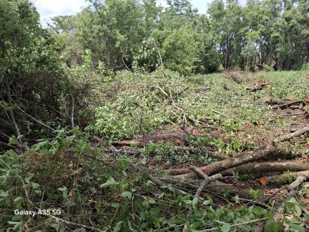 50,000 Acres of Farm Land for Sale · Photo 5