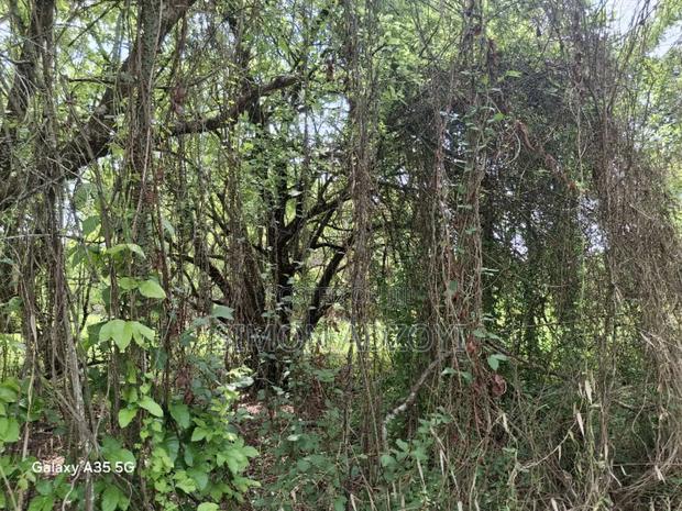 50,000 Acres of Farm Land for Sale · Photo 6