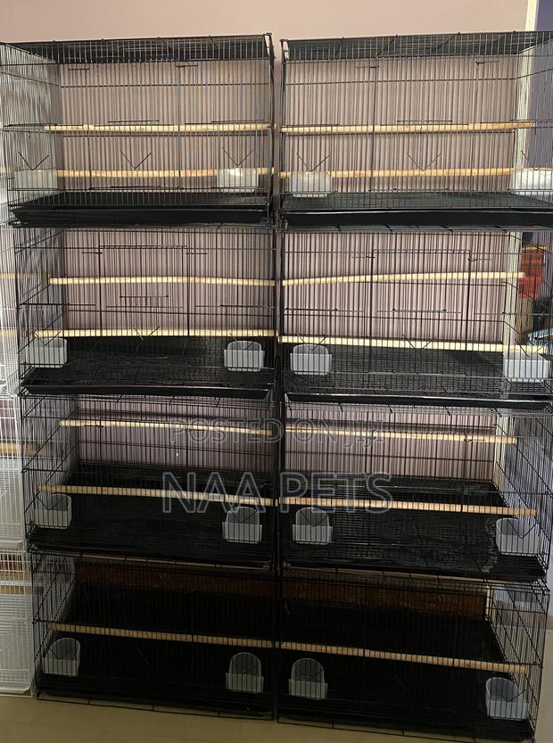 Quality Bird Cage · Photo 5
