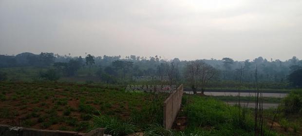 Farmlands,Commercial and Residential Lands for Sale · Photo 7
