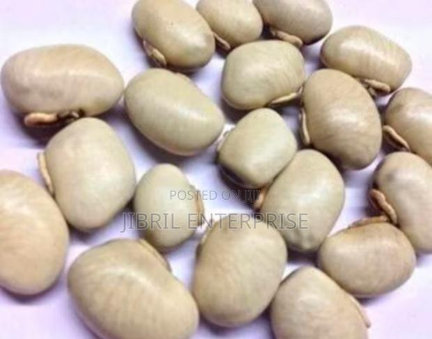 White Mucuna Pruriens, White Velvet Beans · Photo 1