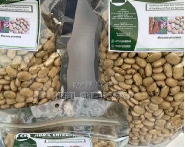 White Mucuna Pruriens, White Velvet Beans · Photo 2