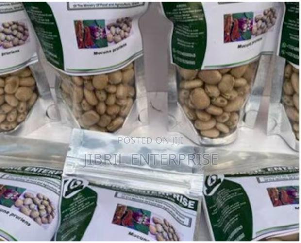 White Mucuna Pruriens, White Velvet Beans · Photo 3