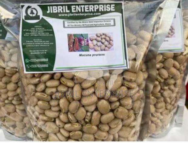 White Mucuna Pruriens, White Velvet Beans · Photo 4