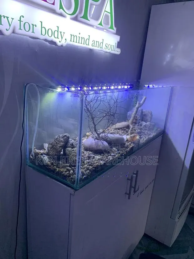 Dinel Spa Aquarium With 10 Fishes · Photo 1
