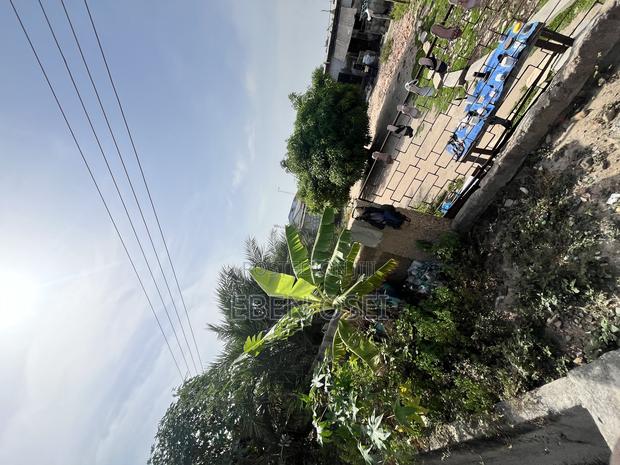 Land for Sale · Photo 3