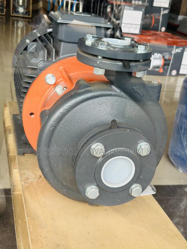 Three Phase Leo Industrial Surface Water Pump 30 Horsepower · Photo 6