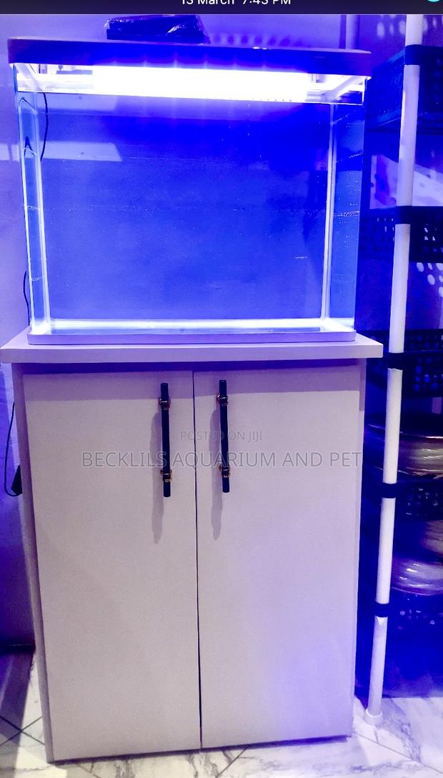 2 Feet. Aquarium Package( It Includes Fishes) · Photo 1
