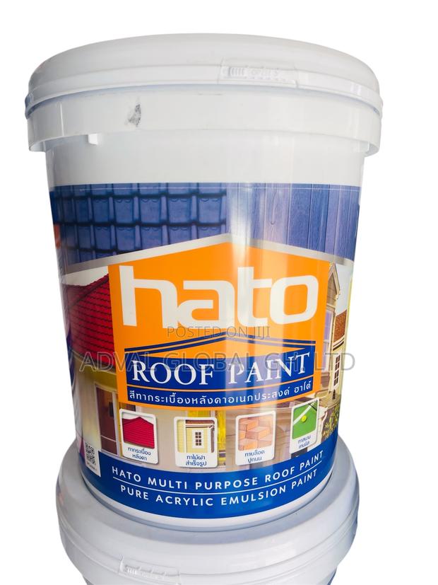 Hato Roof Paint · Photo 1